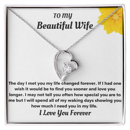 TO MY BEAUTIFUL WIFE